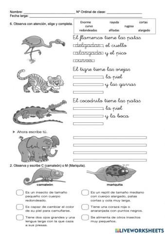 Escribo sobre animales