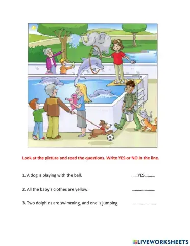 VES - REVIEW LESSON - TEST 1 - YES-NO 