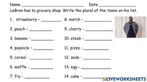 Plurals Review With -s, -es, -ies
