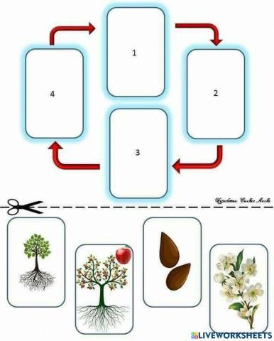 Phát triển thông minh thiên nhiên