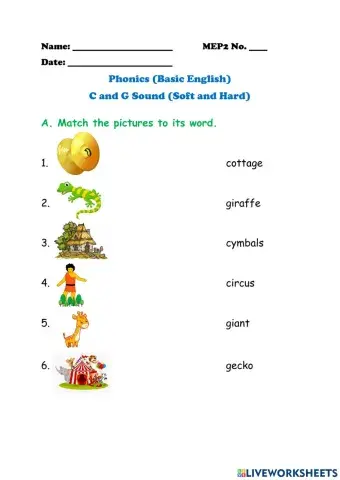 (Soft and Hard) G and C sound Review