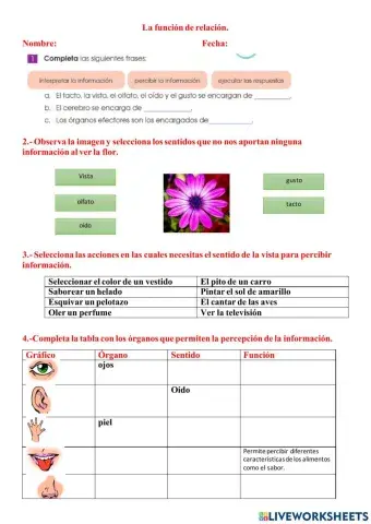 La función de relación