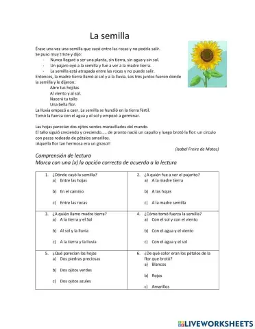 Comprensión de lectura la semilla