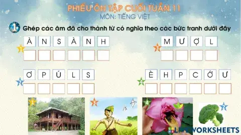 Phiếu ôn tập cuối tuần 11