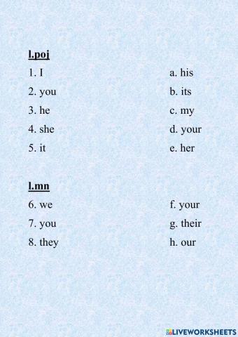 Possessive adjectives