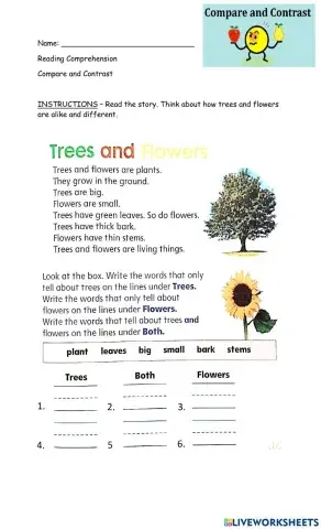 Compare and Contrast