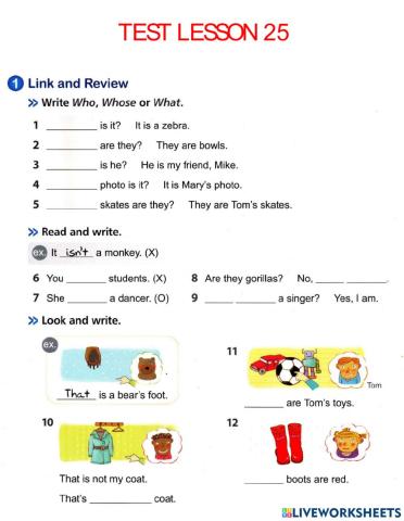 Test Lesson 25