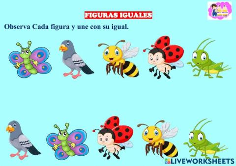 Figuras iguales y diferentes