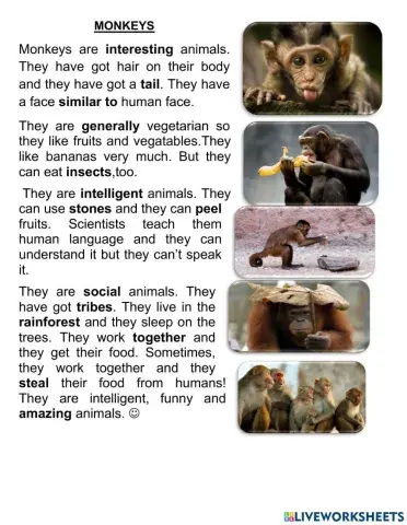 Reading comprehension