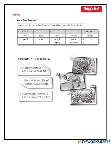 Kids 6 - Unit 5: Homework
