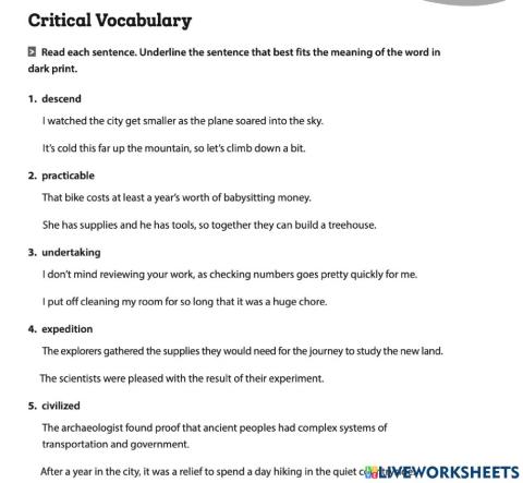 Vocabulary 4.4