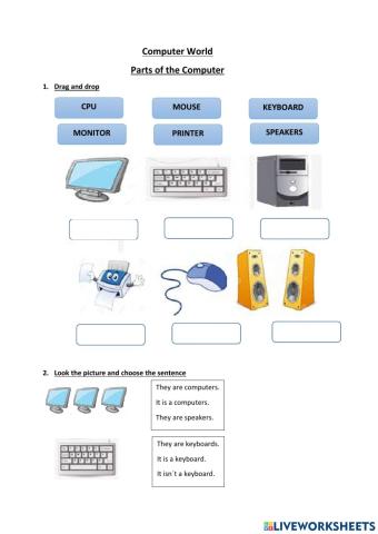 Parts of the Computer