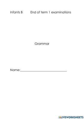 Grammar test