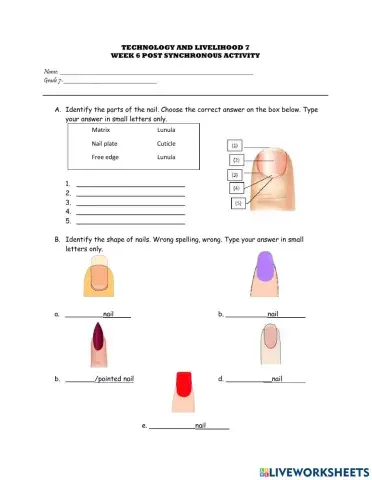 4th Q-Week 6 Post Synchronous Activity