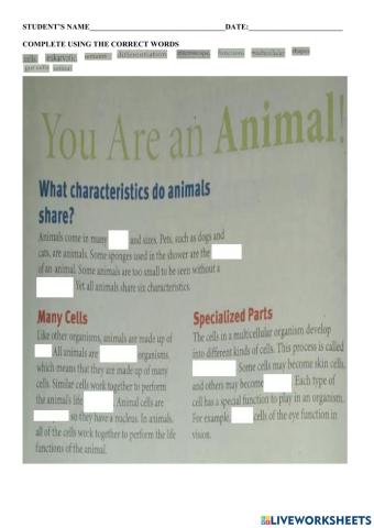 Animals characteristics