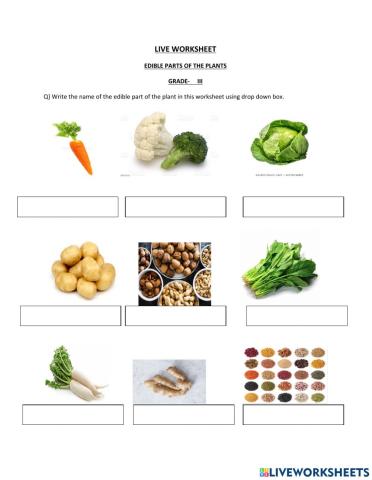 Edible parts of the plant