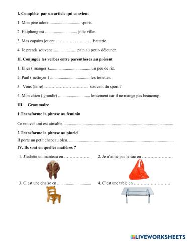 Connaissances de langue