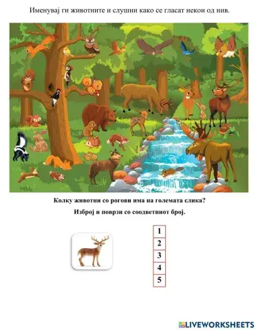 Животни (Во соработка со Росица)