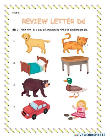 Review letter Dd