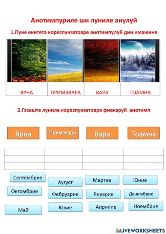 Анотимпуриле анулуй