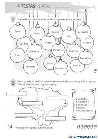 Pasaulio pažinimo testas Nr 4