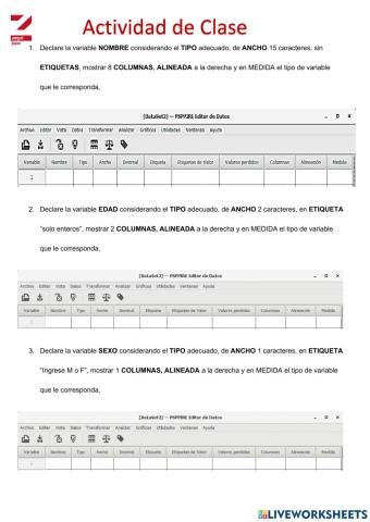 Introducción al PSPP- Declaración de Variables
