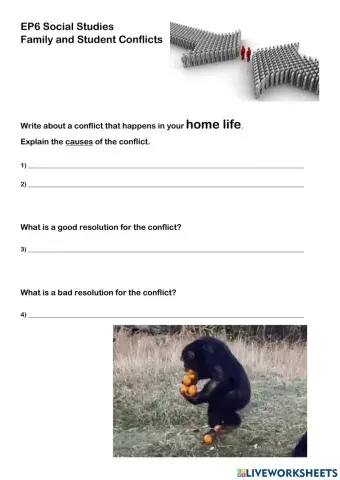 Home and School Conflicts