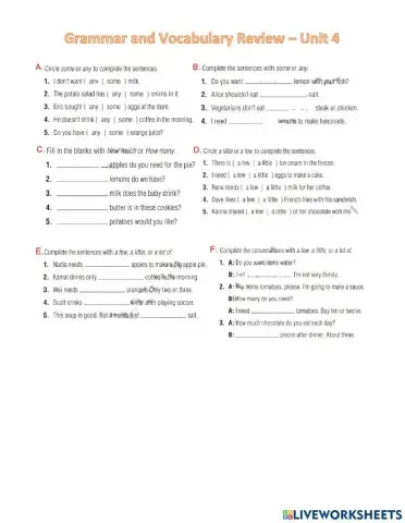 Grammar and Vocabulary Review - Unit 4