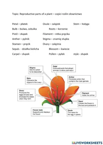 Flowers parts