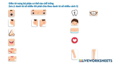 Bo phan co the - Buoi 8 - THTTH 3