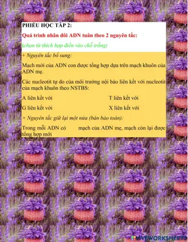 Adn và bản chất của gen