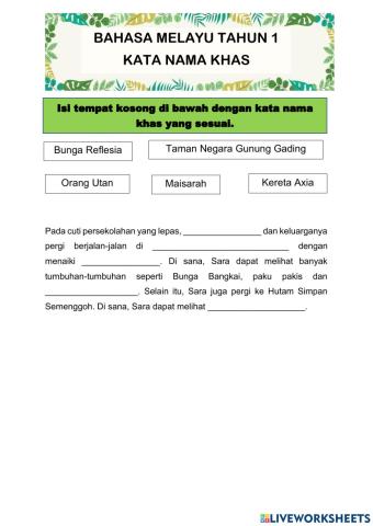 Flora dan Fauna di Borneo