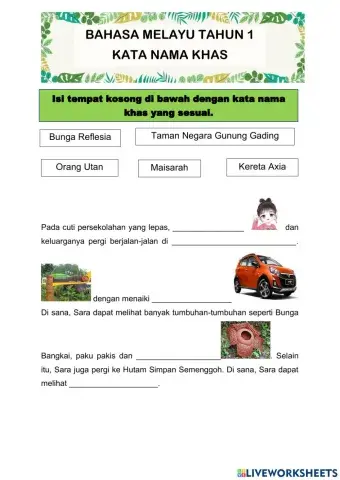 Flora dan Fauna di Borneo