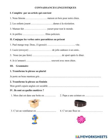 Connaissances de langue