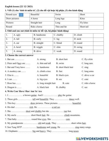 Group 3 - be can have