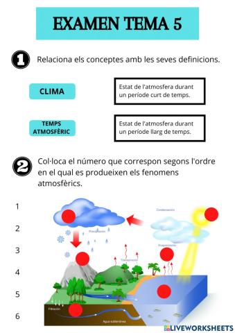 Examen tema 5