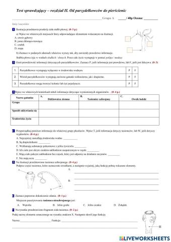 Od parzydełkowców do pierścienic