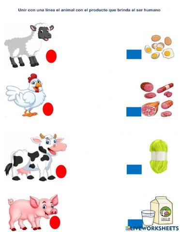 -Los derivados de los animales-