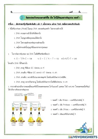 ข้อสอบ บทที่ 2 ยีนและโครโมโซม 