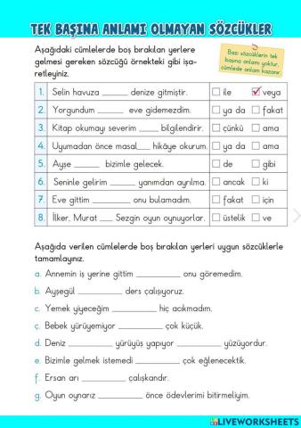 Tek Başına Anlamı Olmayan Sözcükler