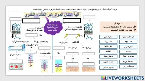 خريطة ذهنية تفاعلية