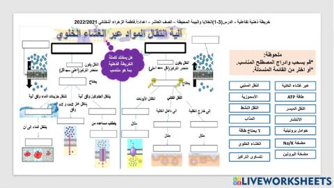 خريطة ذهنية تفاعلية