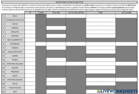 Definiciones sistema digestivo