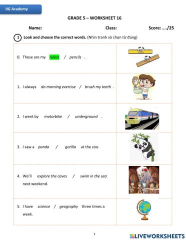 IIG-Grade 5-Worksheet 16