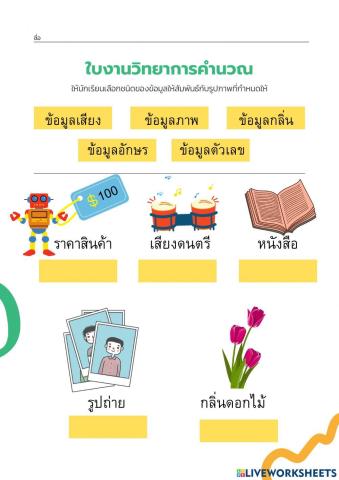 ชนิดของข้อมูล