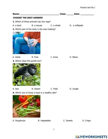 I STEM practice test 1