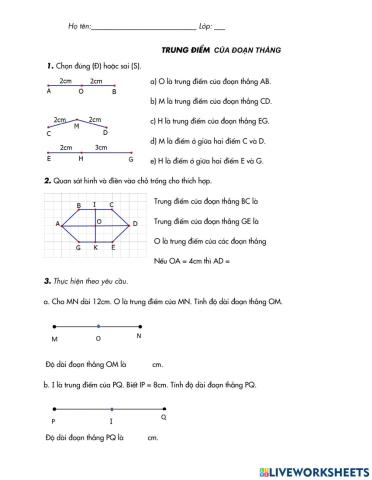 Trung điểm của đoạn thẳng