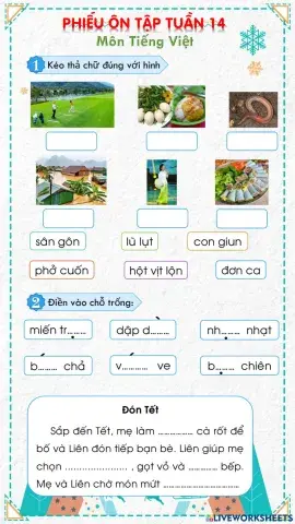 Phiếu ôn tập tuần 14