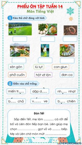 Phiếu ôn tập tuần 14