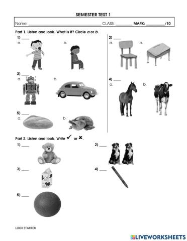 Final Test Grade 1 Term 1 